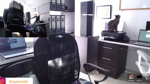 Salome online show from November 12, 1:24 pm