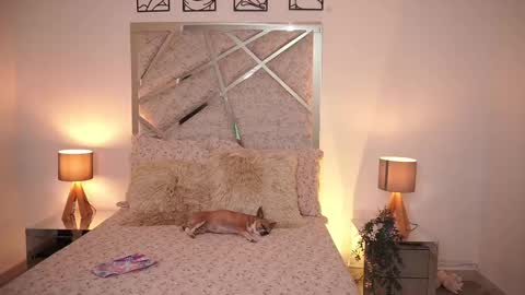 salomedyla online show from September 30, 12:43 am