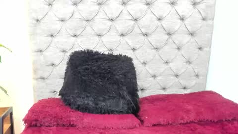 Sammy  online show from November 14, 2:30 pm