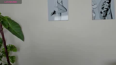 Samay online show from November 23, 2:15 pm