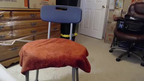 Sammy online show from November 3, 2:29 pm