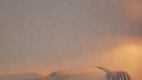       online show from March 26, 11:32 pm