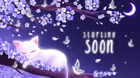 Sassy Sami Kittyn online show from November 4, 6:26 am