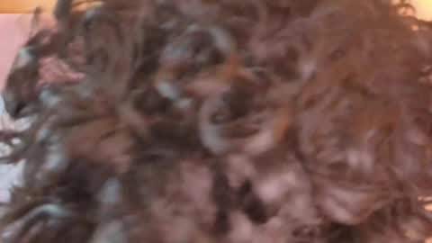 Saturningsweets online show from March 28, 2:40 pm