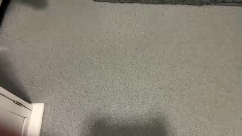 scottyc48 online show from January 6, 1:48 pm