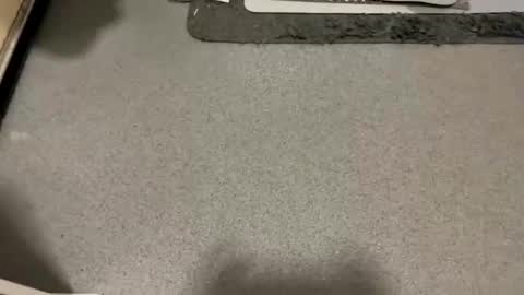 scottyc48 online show from December 19, 7:48 am