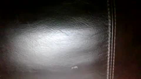 Sunny online show from November 20, 10:07 pm