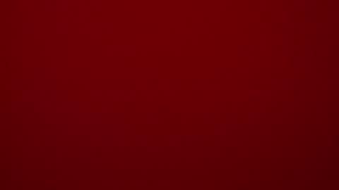 seeus24 online show from February 15, 5:39 pm