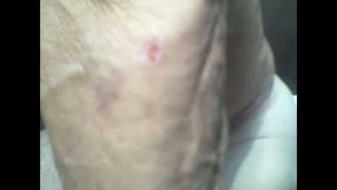 frederick online show from September 18, 9:19 pm