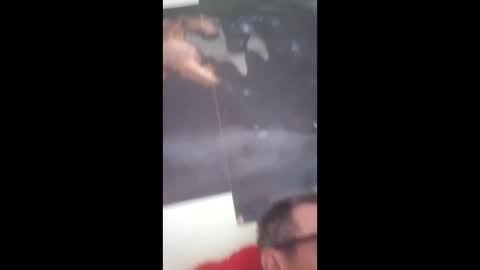 sergiobianchi977 online show from December 18, 12:33 pm