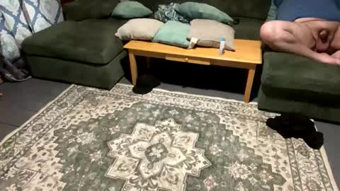 sexycouple762734 online show from April 26, 11:35 pm