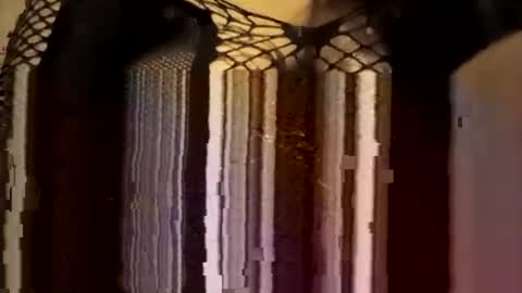 Forever Erotica online show from November 8, 11:19 pm