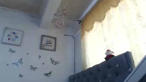 Venus Independent Model online show from December 10, 4:27 pm