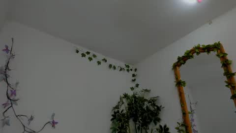 Shego  online show from July 6, 12:18 am