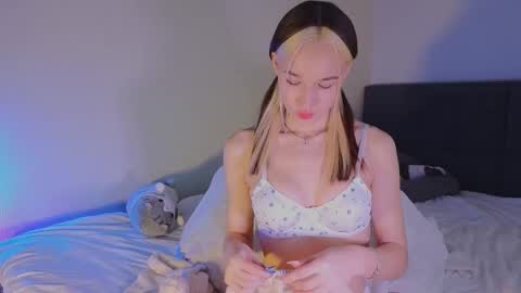 Sheyli online show from March 1, 9:08 pm