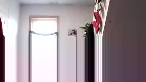 spanish princess online show from April 5, 8:17 pm