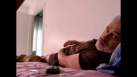 sibemolx online show from October 1, 2:49 pm