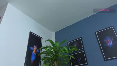 silvabranko online show from December 13, 11:11 pm