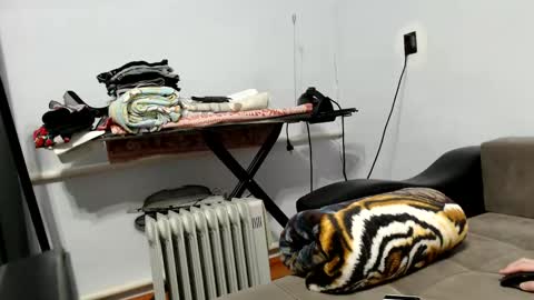 Sir online show from February 1, 7:44 pm