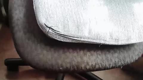 Silver online show from March 2, 4:57 pm