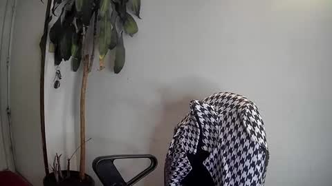 Silvie online show from January 7, 3:46 am