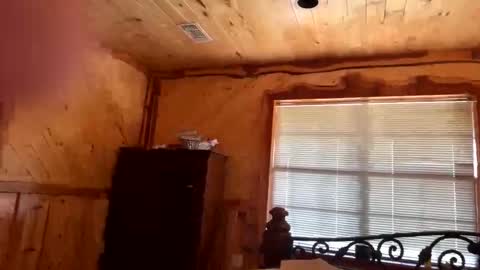 sinfull2022 online show from November 23, 2:37 pm