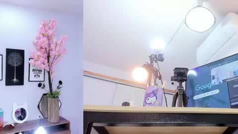 Siouxsie online show from February 5, 11:36 am