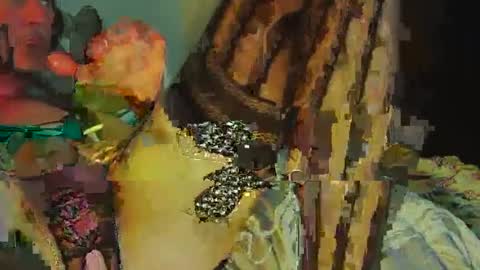 Sir Loin online show from February 20, 5:09 pm