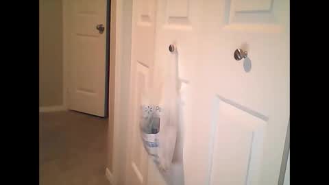 sirenofsin2002 online show from January 17, 11:40 pm