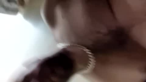 sirewa1885 online show from November 2, 2:11 am