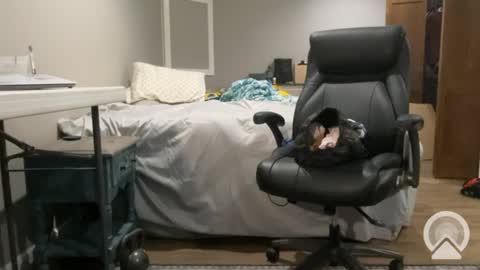 sissyryan3 online show from January 21, 12:46 am