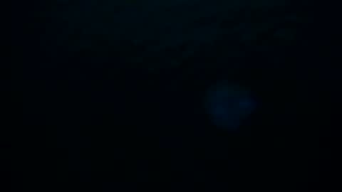 Snapshot of skarletsexy chatting on October 8, 3:02 am Skarlet online show from October 8, 3:02 am