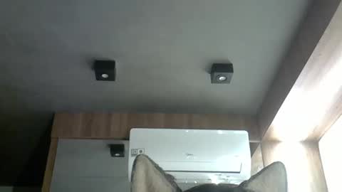 skinnykittencam online show from November 1, 1:50 am