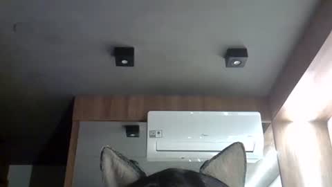 skinnykittencam online show from September 29, 3:38 am