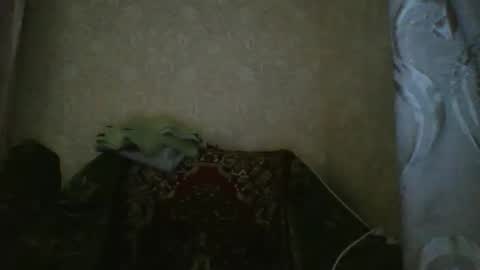 Snapshot of skyressie333 chatting on October 20, 6:57 pm skyressie333 online show from October 20, 6:57 pm