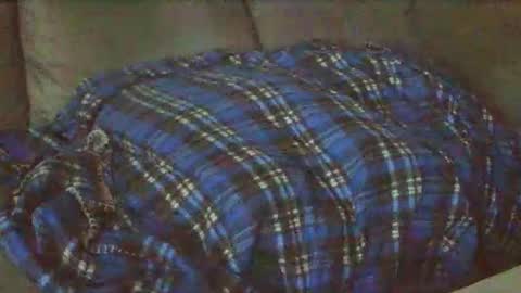 slips991 online show from October 25, 8:35 am