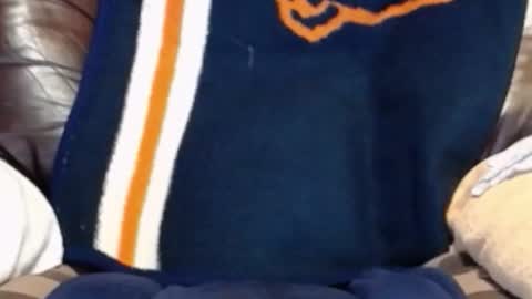 CJ online show from December 5, 8:02 am