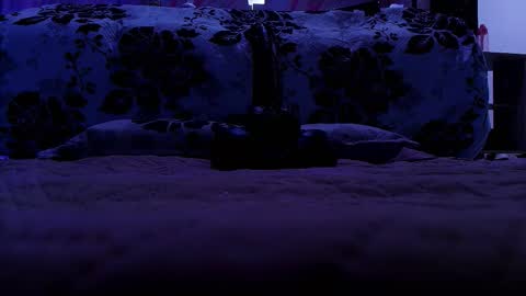 Sofia online show from March 18, 3:01 am