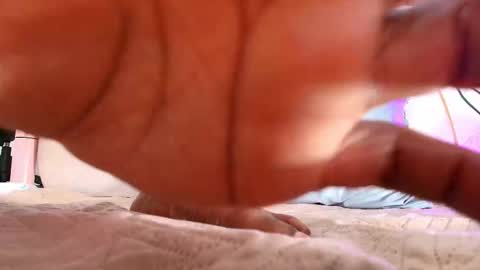 Sofia online show from November 11, 12:51 pm