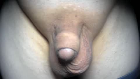 soft4you online show from April 16, 9:53 am