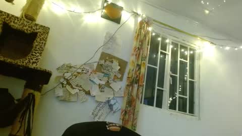 Sofia online show from October 28, 12:33 am