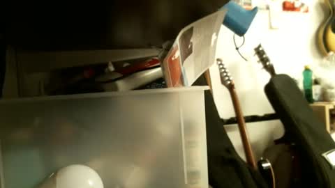 Snapshot of sonnyboy18 chatting on January 26, 8:23 pm BruceWilly online show from January 26, 8:23 pm