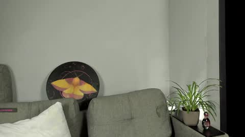   FREE tg chanel online show from January 10, 10:57 pm