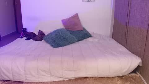      online show from March 29, 12:12 am