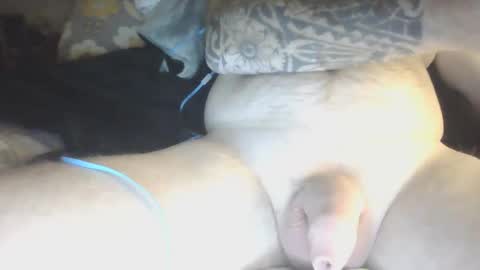 Snapshot of species98 chatting on January 29, 5:51 am species online show from January 29, 5:51 am