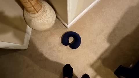 spider00969 online show from January 9, 5:57 am