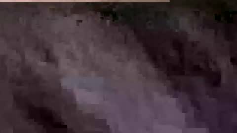 Spongers online show from July 23, 4:26 pm