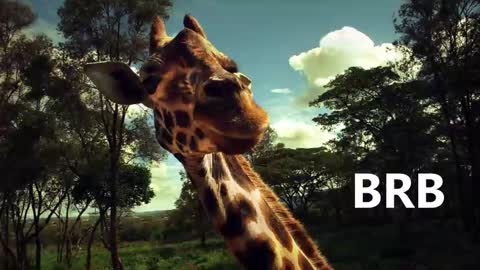 Karina online show from January 18, 9:02 am