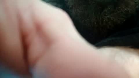 spunfuncumming online show from July 29, 12:27 pm