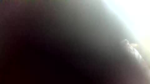 Squiter online show from December 2, 7:40 am